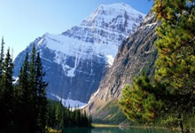 关于今晚年终总决赛前瞻：梅德韦杰夫伤情更新，丹佛掘金冲击逆转纪录的信息